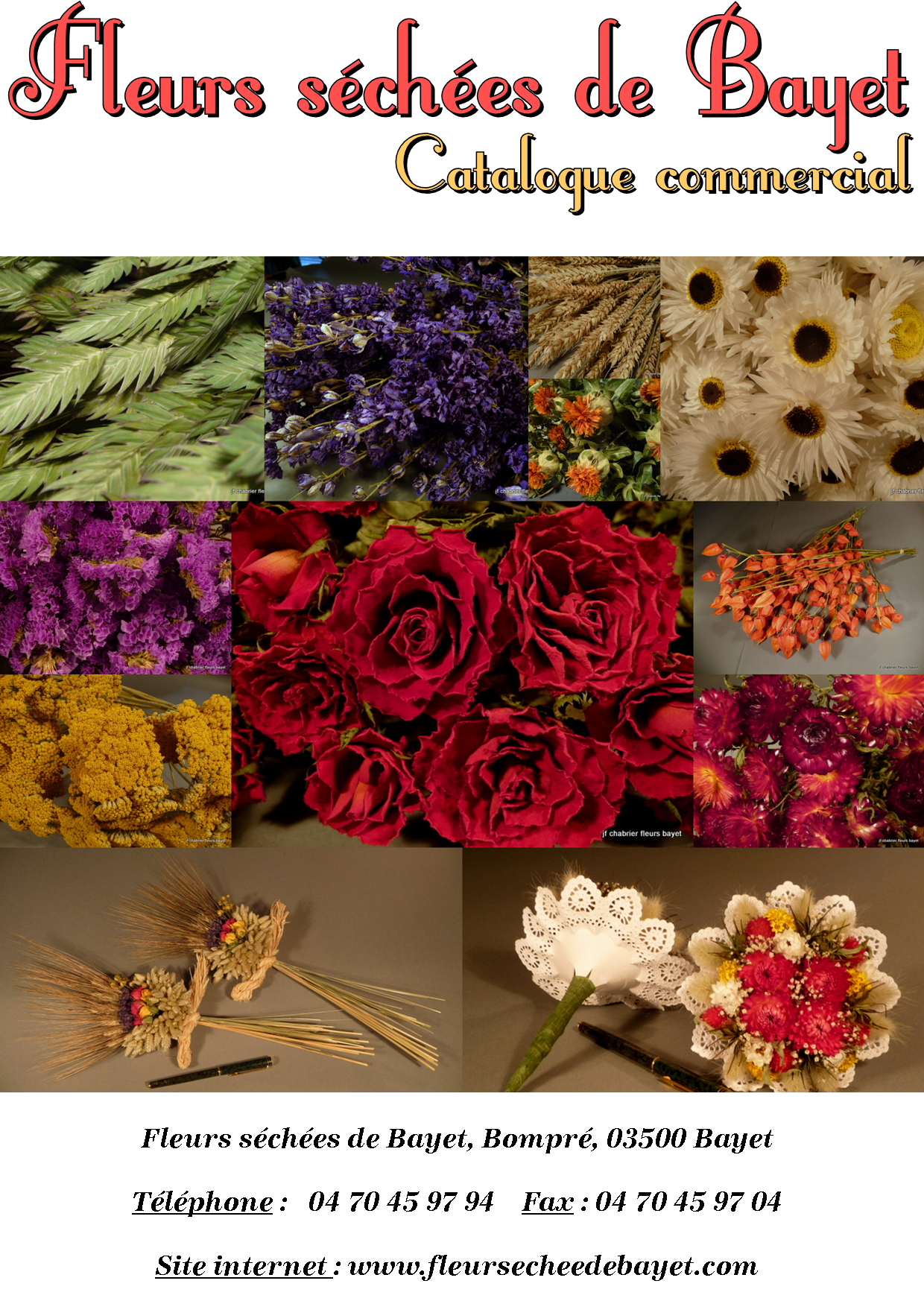 catalogue